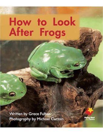 How to Look After Frogs