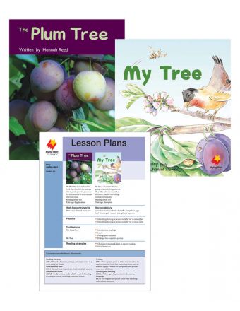 The Plum Tree / My Tree