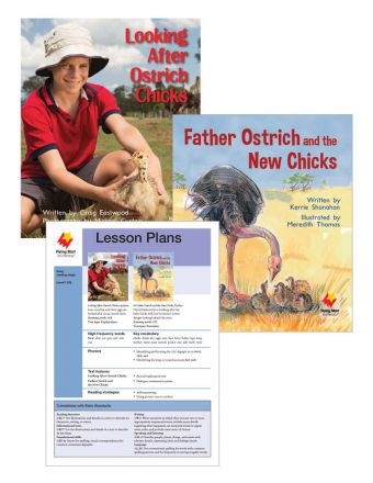 Looking After Ostrich Chicks / Father Ostrich and the New Chicks