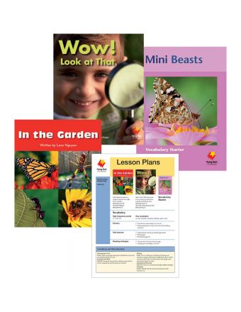 In the Garden / Wow! Look at That / Mini Beasts Vocabulary Starter