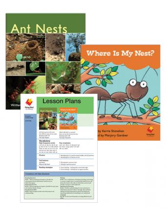 Ant Nests / Where Is My Nest?