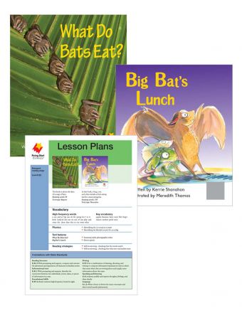 What Do Bats Eat? / Big Bat's Lunch