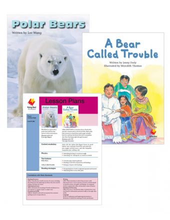 Polar Bears / A Bear Called Trouble