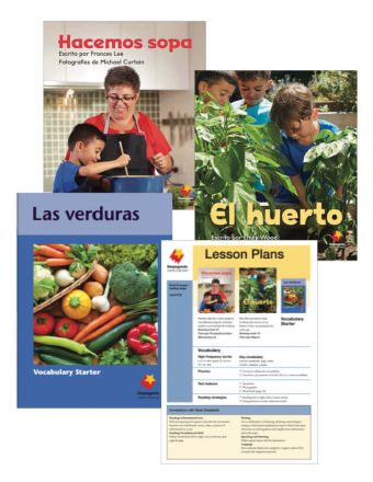 Hacemos sopa / El huerto / Las verduras Vocabulary Starter