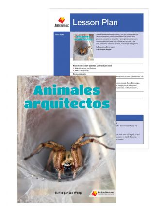 Animales arquitectos