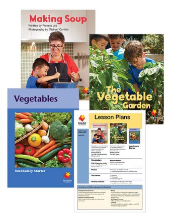 Making Soup / The Vegetable Garden / Vegetables Vocabulary Starter