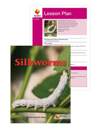 Silkworms