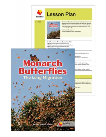 Monarch Butterflies: The Long Migration