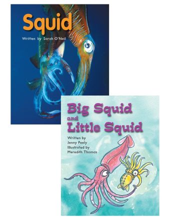 Squid & Big Squid and Little Squid