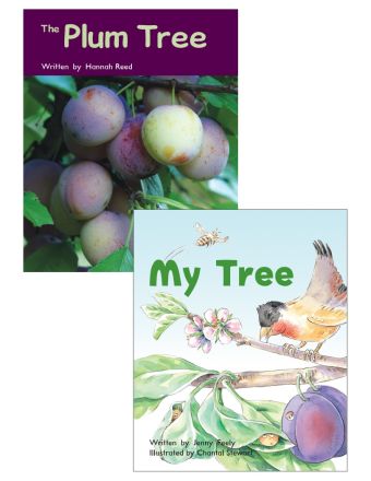 The Plum Tree & My Tree