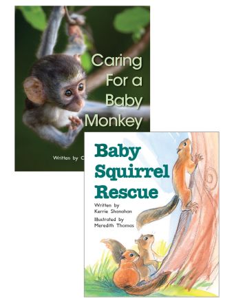 Caring for a Baby Monkey & Baby Squirrel Rescue