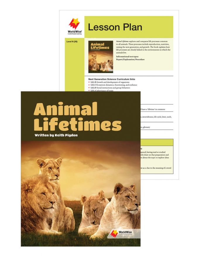 Animal Lifetimes N (30)