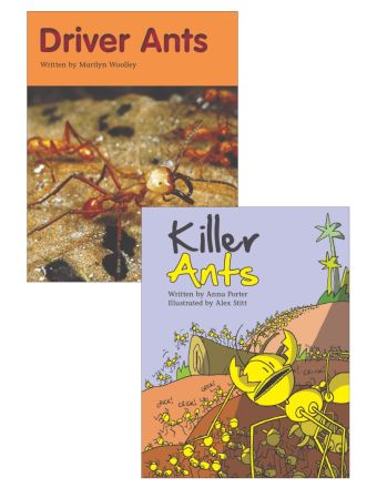 Driver Ants & Killer Ants