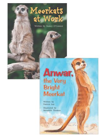 Meerkats at Work & Anwar, the Very Bright Meerkat