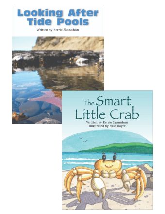 Looking After Tide Pools & The Smart Little Crab