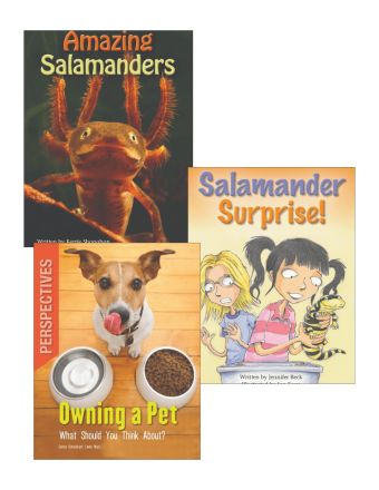Amazing Salamanders, Salamander Surprise!, & Owning a Pet: What Should You Think About?