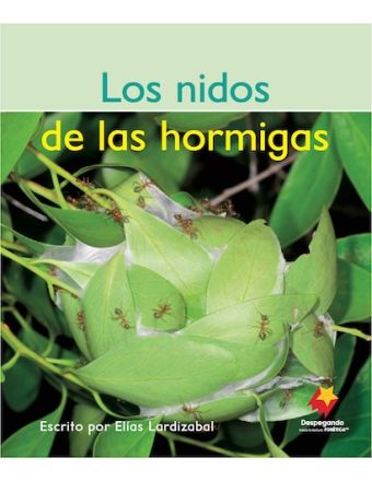 Los nidos de las hormigas