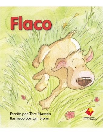 Flaco