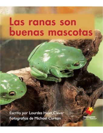 Las ranas son buenas mascotas