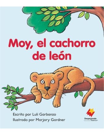 Moy, el cachorro de león