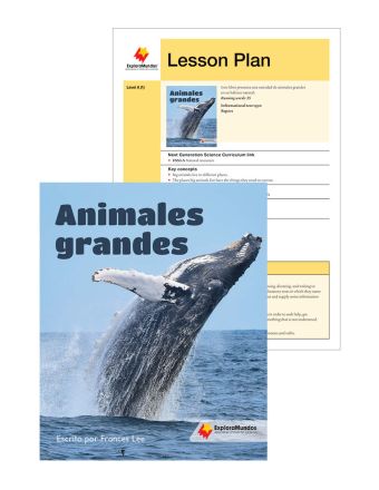 Animales grandes