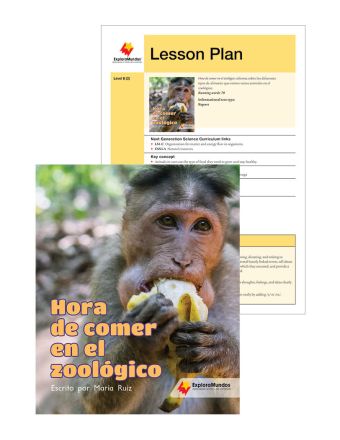 Hora de comer en el zoológico
