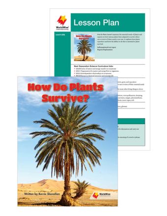 How Do Plants Survive?