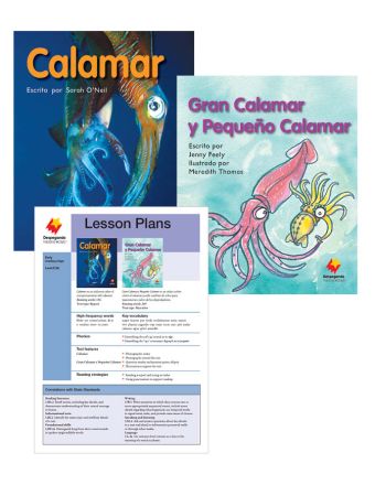 Calamar / Gran Calamar y Pequeño Calamar