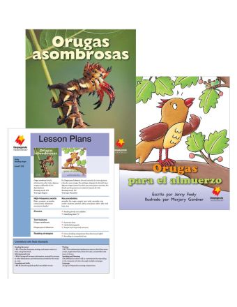 Orugas asombrosas / Orugas para el almuerzo