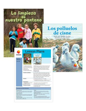 La limpieza de nuestro pantano / Los polluelos de cisne
