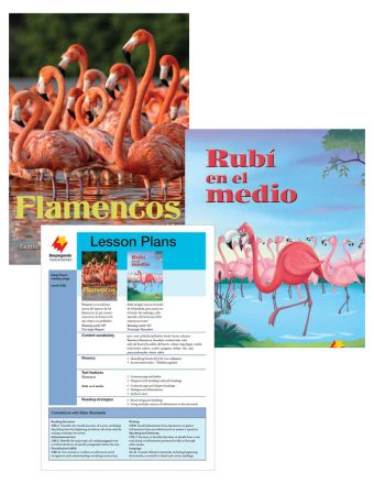 Flamencos / Rubí en el medio