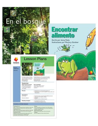 En el bosque / Encontrar alimento