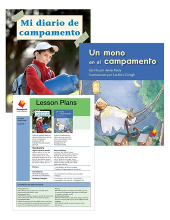 Mi diario de campamento / Un mono en el campamento