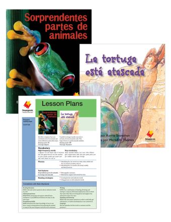 Sorprendentes partes de animales / La tortuga está atascada