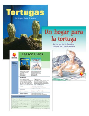 Tortugas / Un hogar para la Tortuga