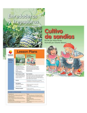 Enredaderas y trepadores / Cultivo de sandías