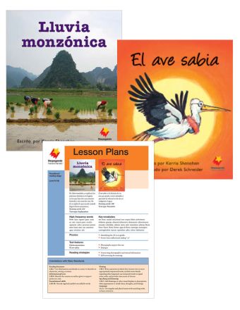 Lluvia monzónica / El ave sabia