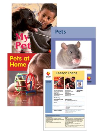 Pets at Home / My Pet / Pets Vocabulary Starter
