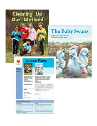 Cleaning Up Our Wetland / The Baby Swans