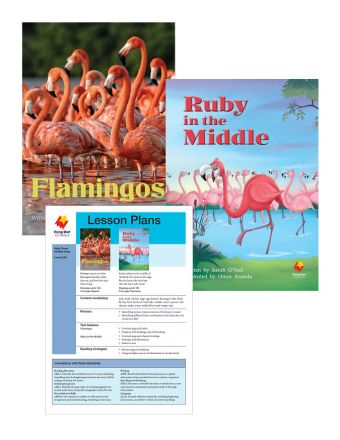 Flamingos / Ruby in the Middle