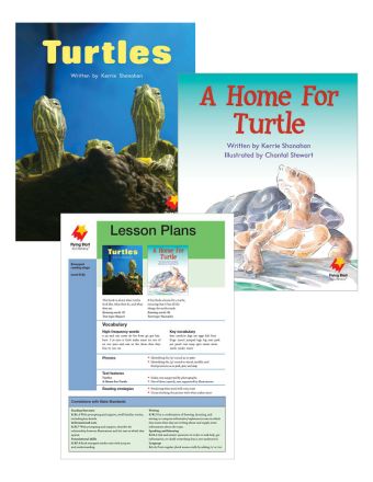 Turtles / A Home for Turtle