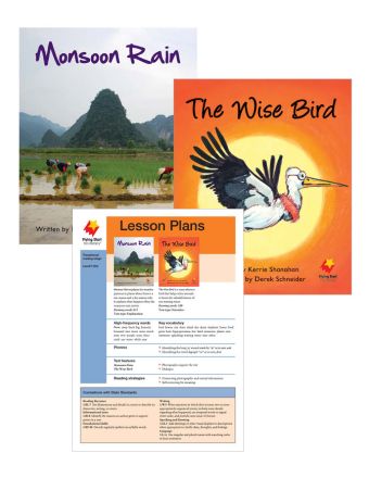 Monsoon Rain / The Wise Bird
