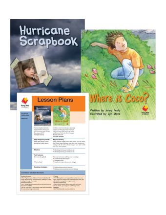 Hurricane Scrapbook / Where Is Coco?