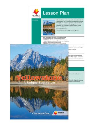 Yellowstone: A Unique Ecosystem