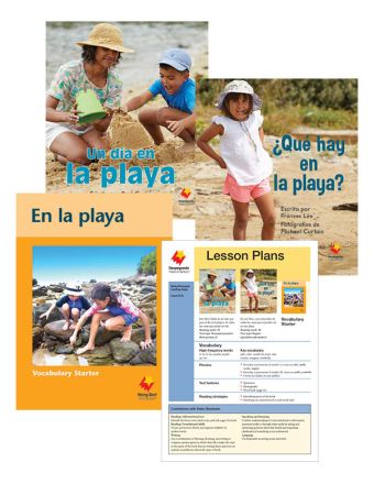 ¿Qué hay en la playa?  / Un día en la playa / En la playa Vocabulary Starter