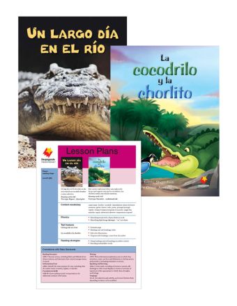 Un largo día en el río / La cocodrilo y la chorlito