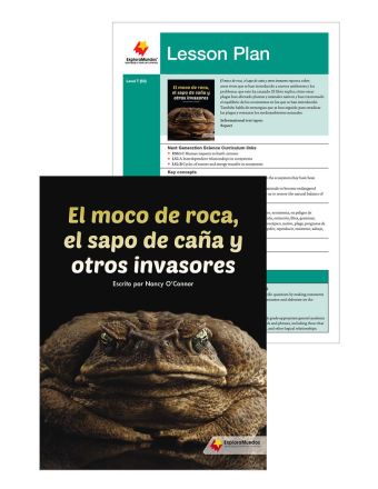 El moco de roca, el sapo de caña y otros invasores