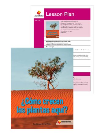 ¿Cómo crecen las plantas aquí?