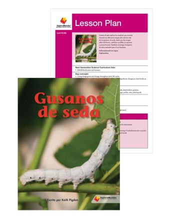 Gusanos de seda