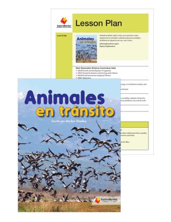 Animales en tránsito